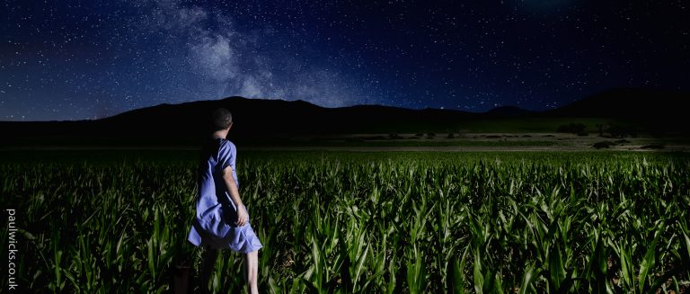 What I Remember About Forgetting