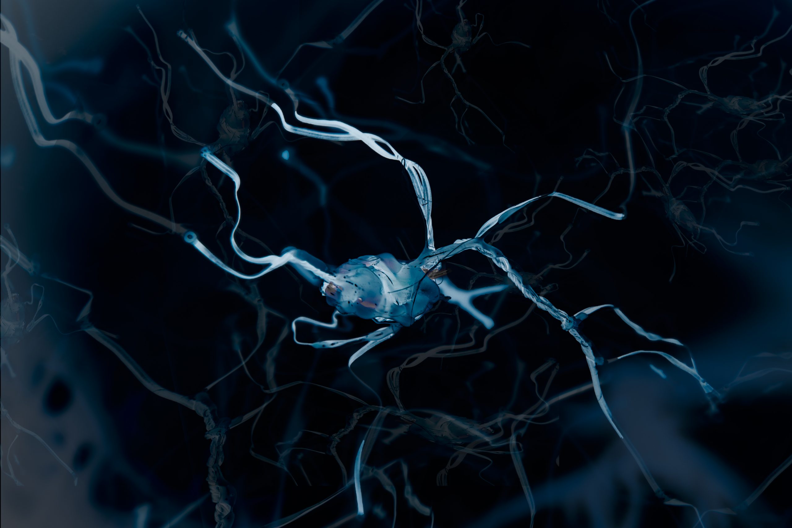 Neurones